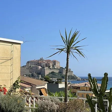 Luxueux Avec Jacuzzi Et Terrasses A Deux Pas De La Plage - Fr-1-719-29 Daire Calvi (Corsica)